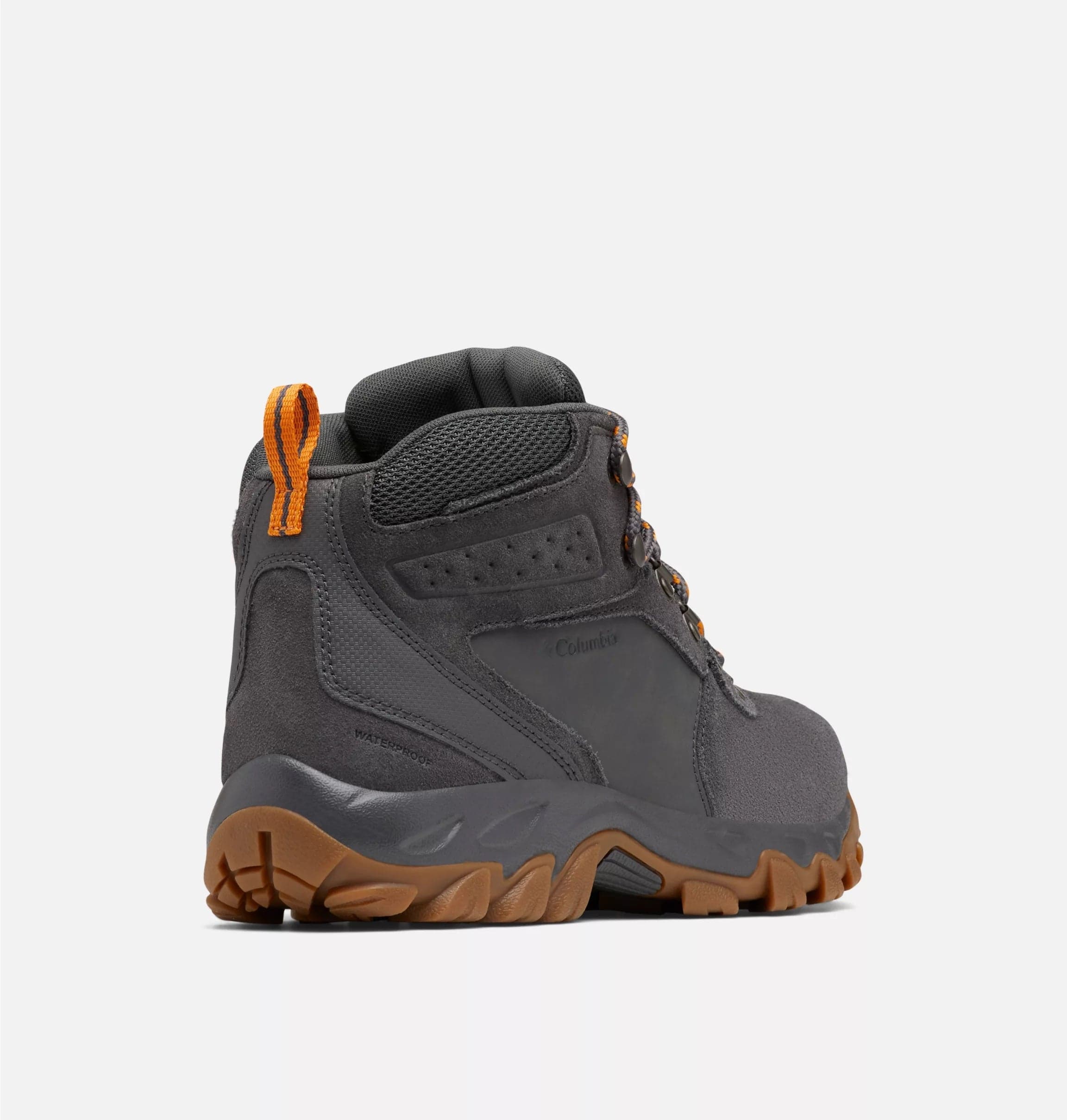Newton Ridge Plus II Suede WP