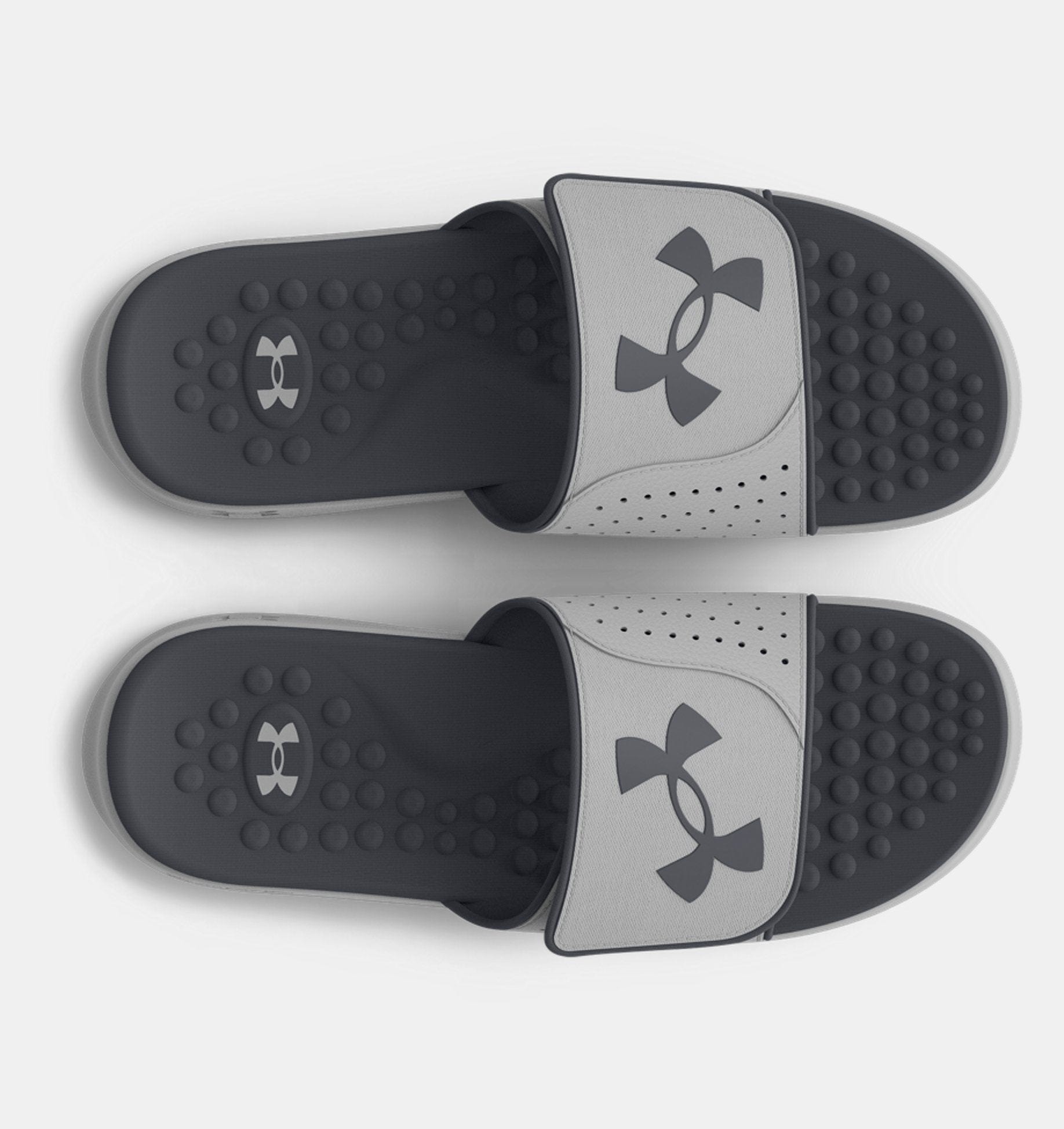 Ignite Pro SL